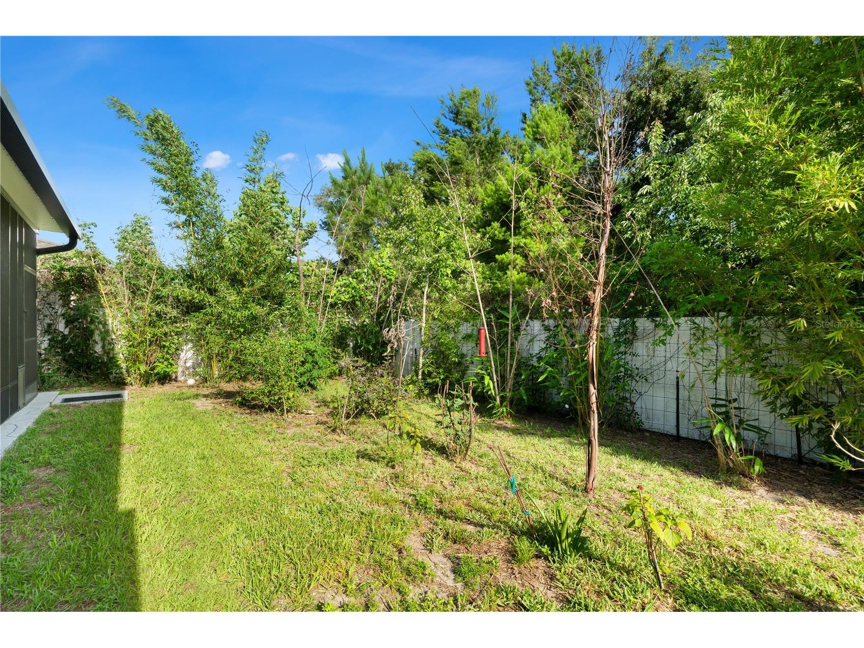 3763 Autumn Amber Drive Spring Hill FL 34609 W7886279 image23