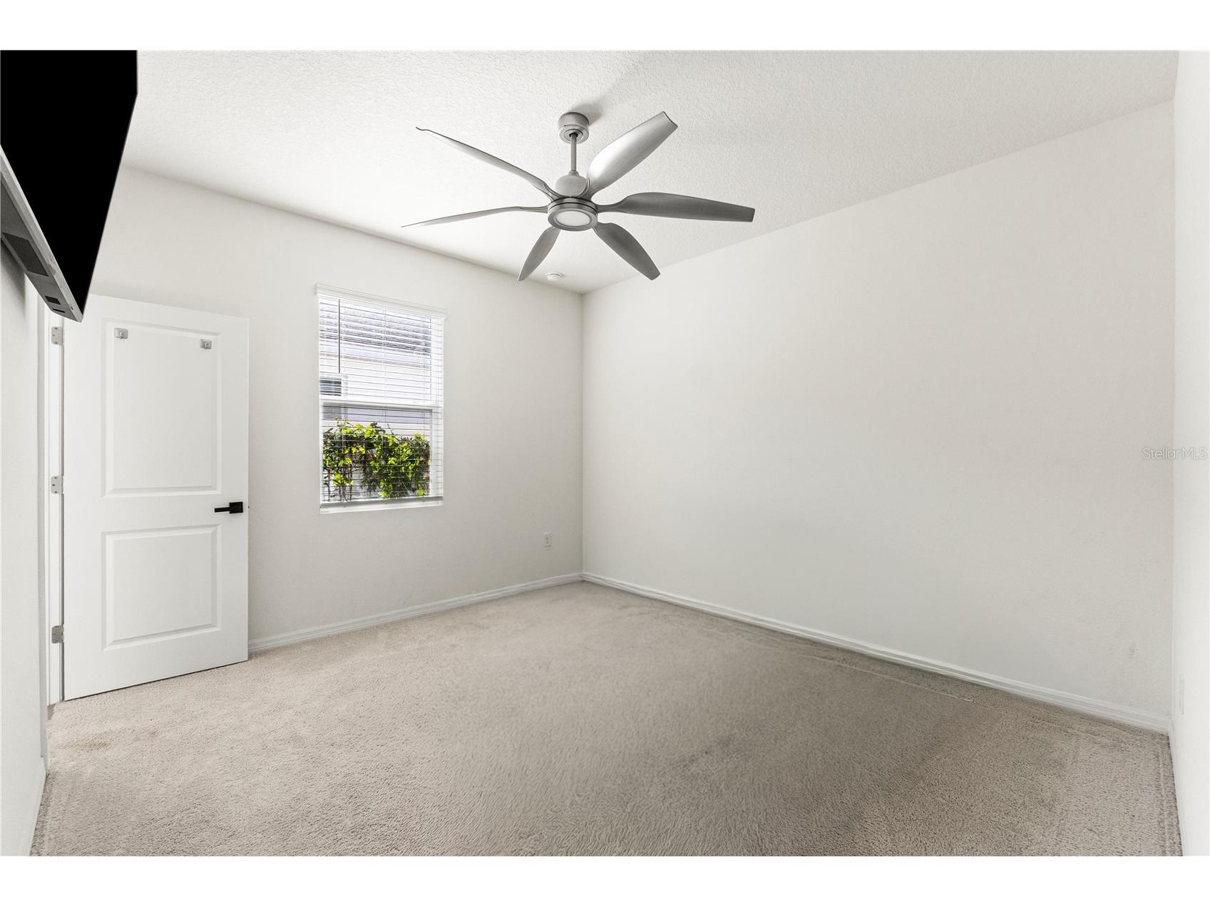 3763 Autumn Amber Drive Spring Hill FL 34609 W7886279 image5