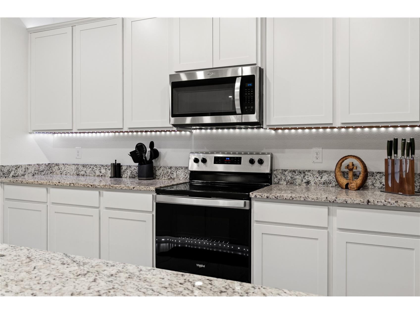 3763 Autumn Amber Drive Spring Hill FL 34609 W7886279 image50