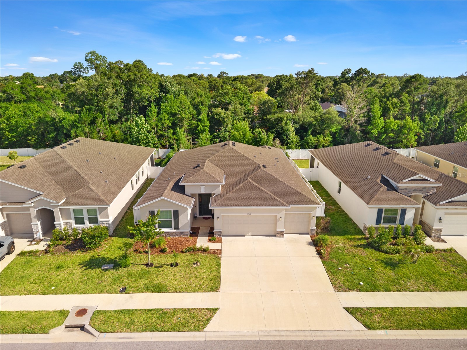 3763 Autumn Amber Drive Spring Hill FL 34609 W7886279 image52