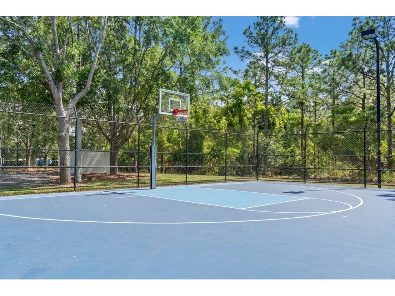 3763 Autumn Amber Drive Spring Hill FL 34609 W7886279 image68