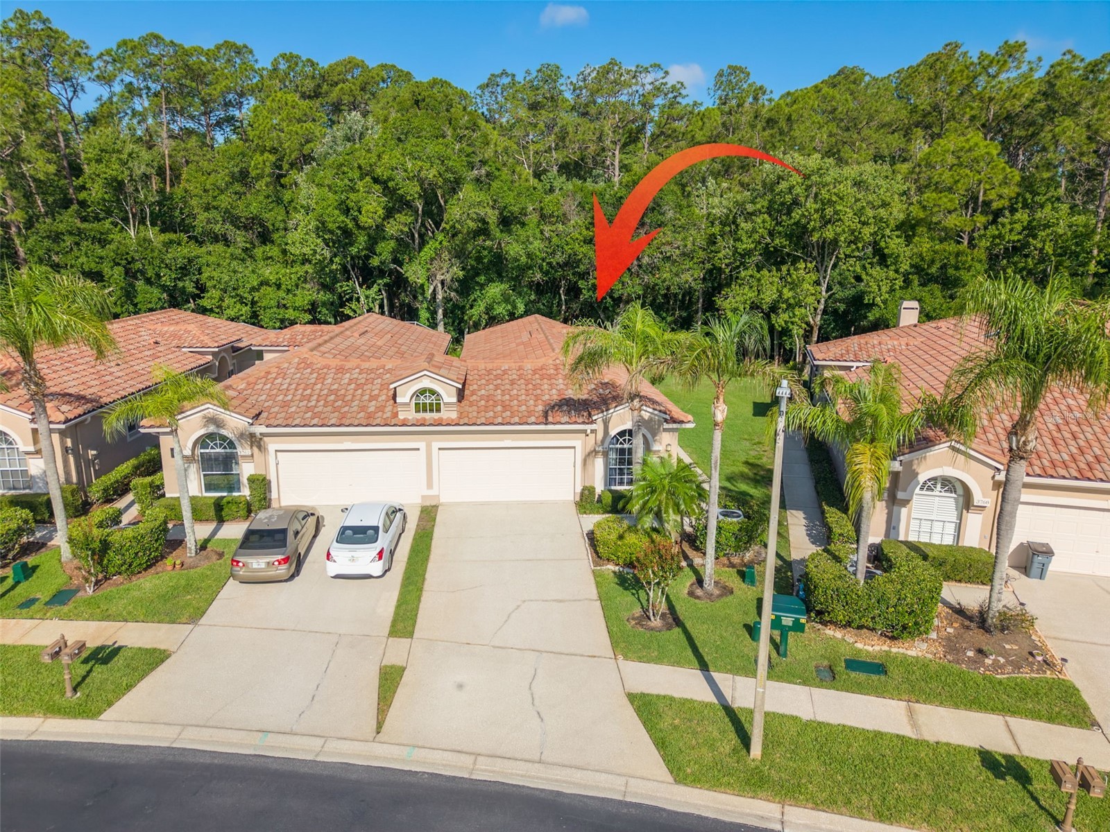 3764 Darston Street Palm Harbor FL 34685 TB8510911 image1