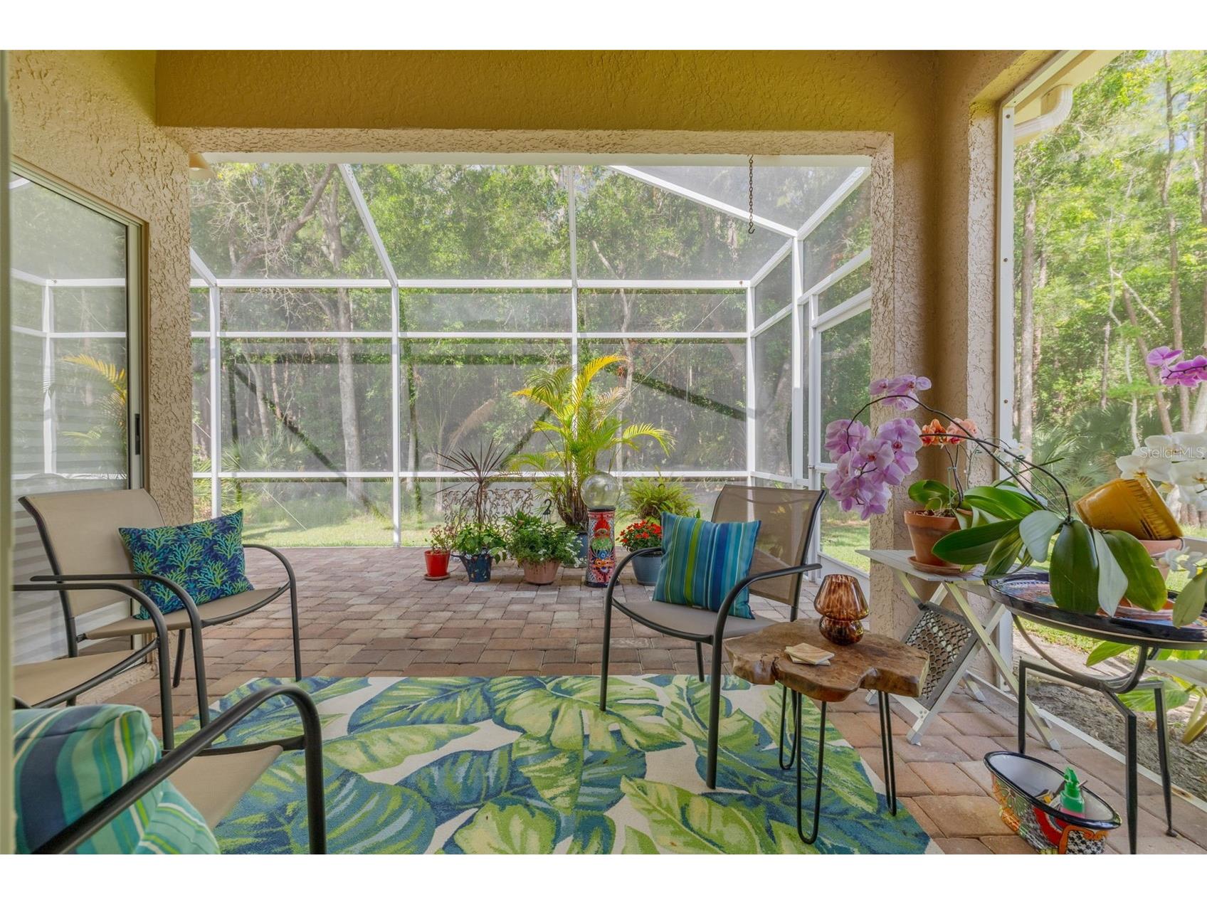 3764 Darston Street Palm Harbor FL 34685 TB8510911 image13