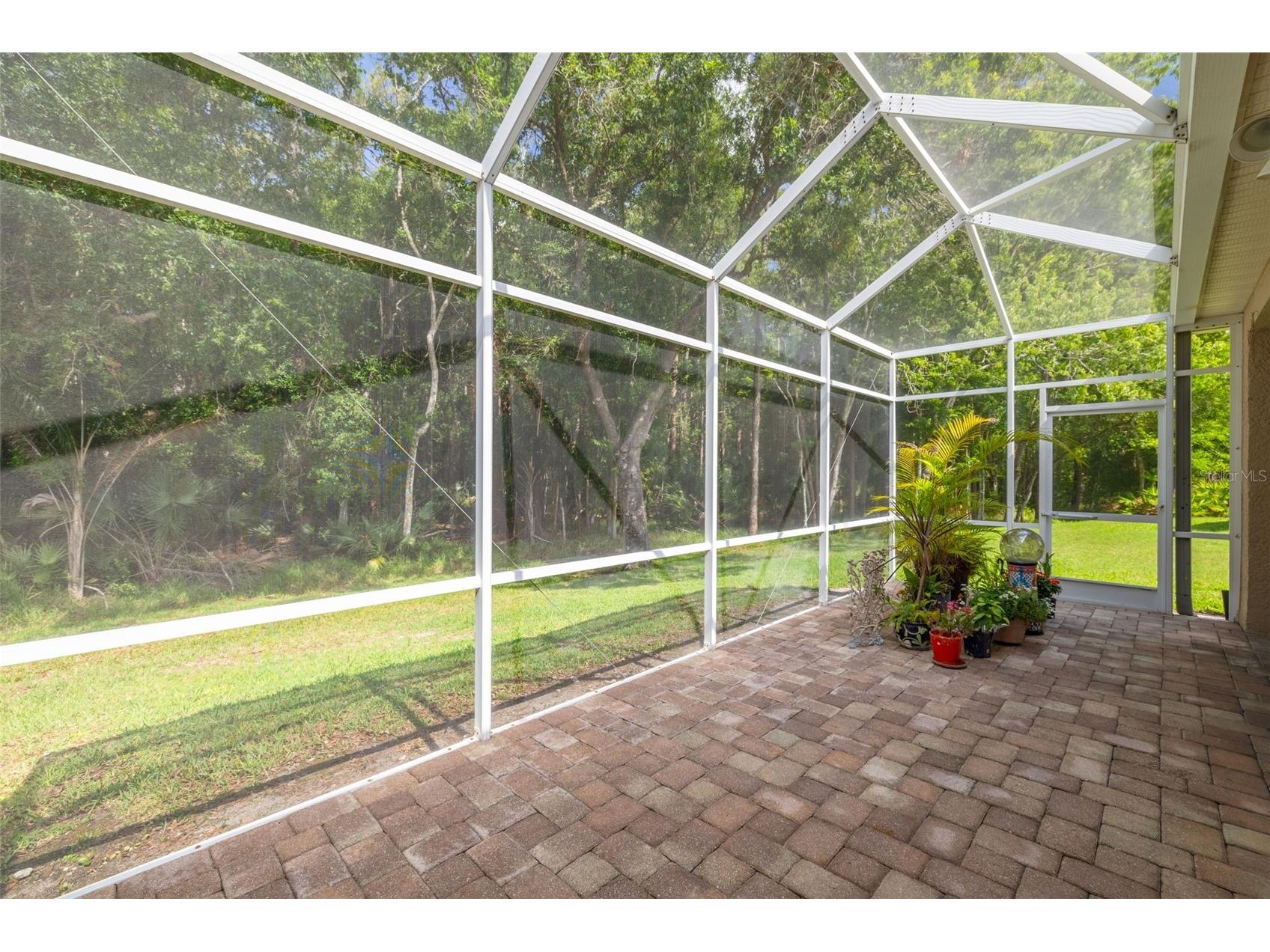 3764 Darston Street Palm Harbor FL 34685 TB8510911 image15