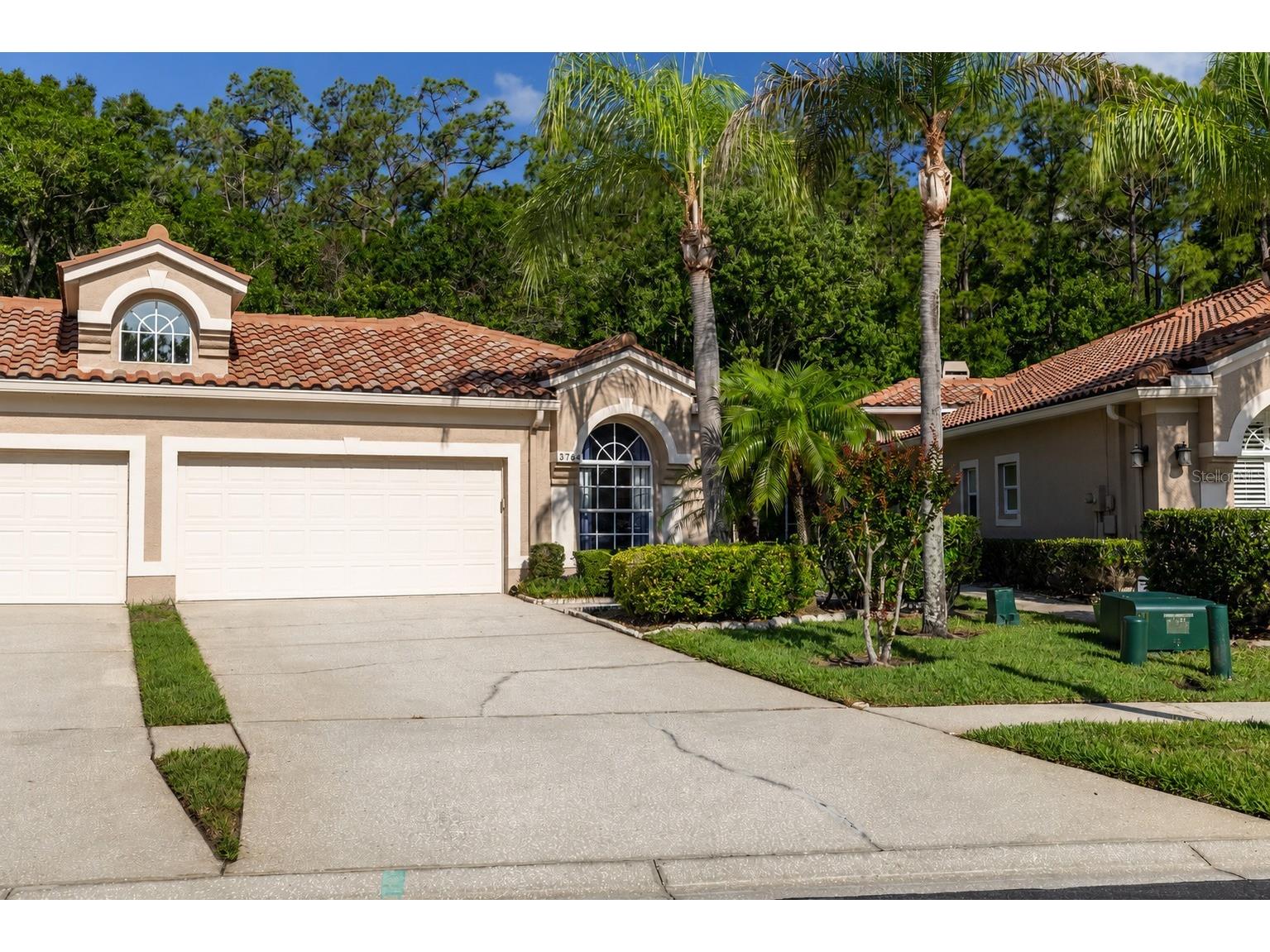 3764 Darston Street Palm Harbor FL 34685 TB8510911 image2