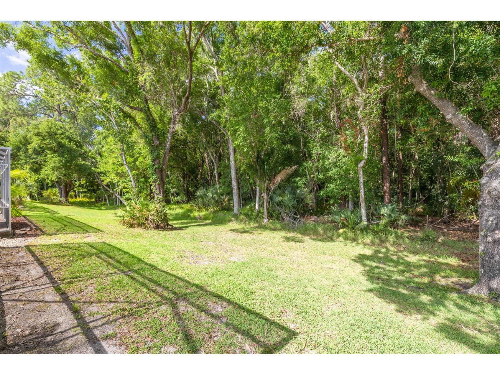 3764 Darston Street Palm Harbor FL 34685 TB8510911 image28