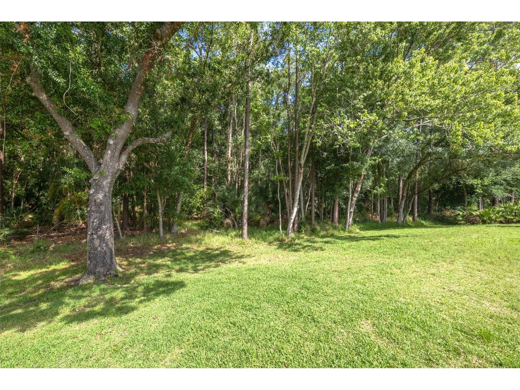 3764 Darston Street Palm Harbor FL 34685 TB8510911 image29