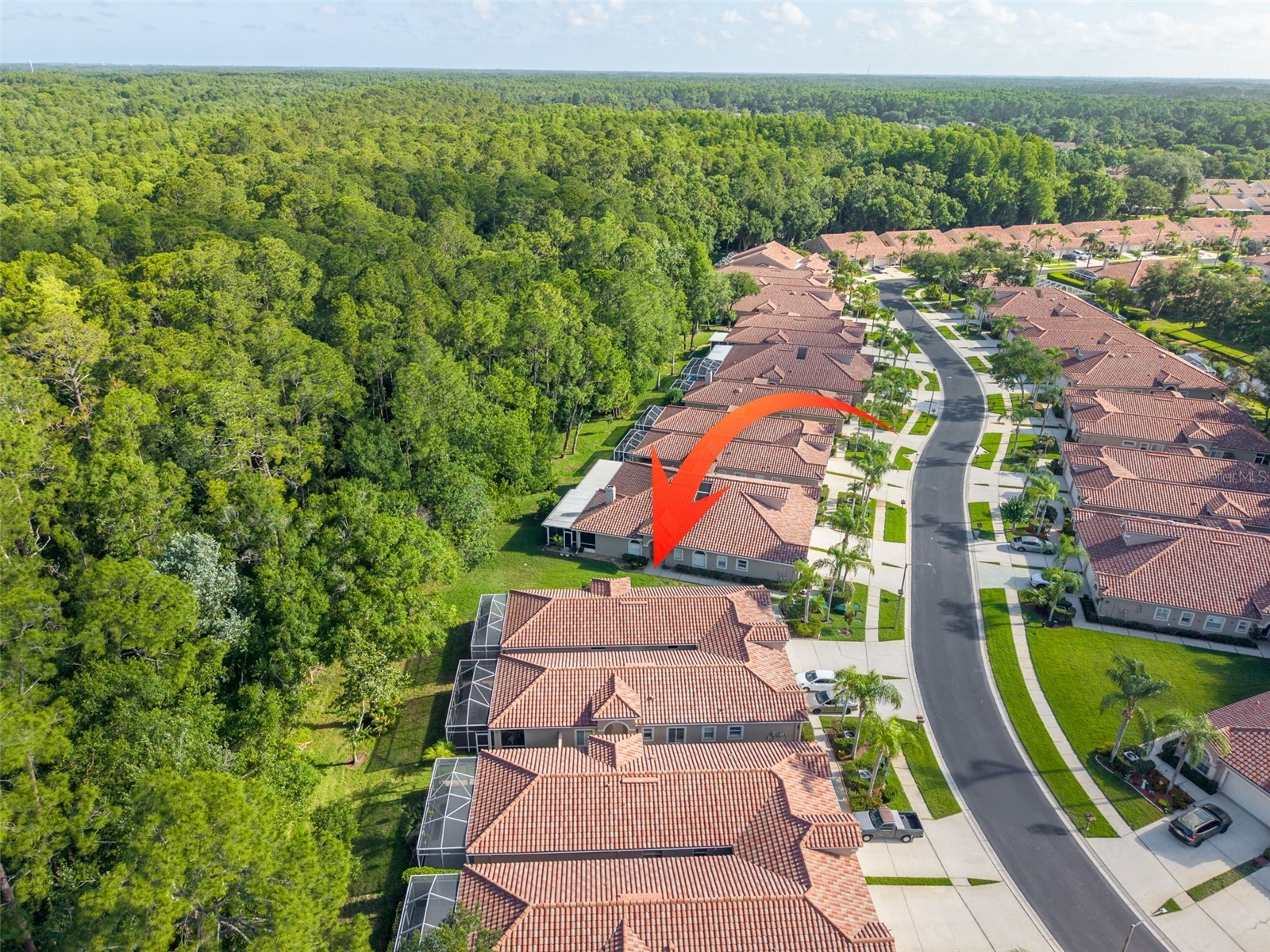 3764 Darston Street Palm Harbor FL 34685 TB8510911 image30