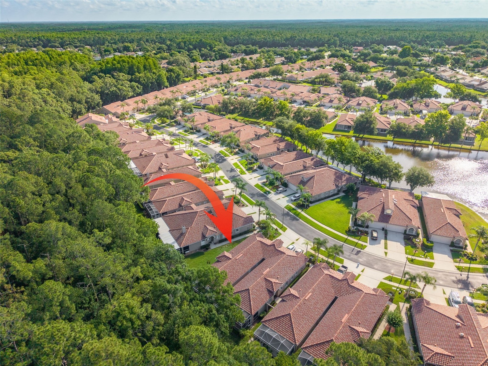 3764 Darston Street Palm Harbor FL 34685 TB8510911 image31