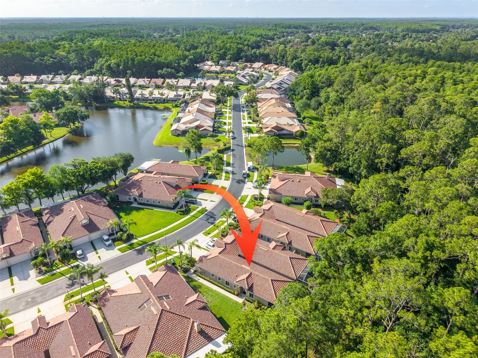 3764 Darston Street Palm Harbor FL 34685 TB8510911 image32