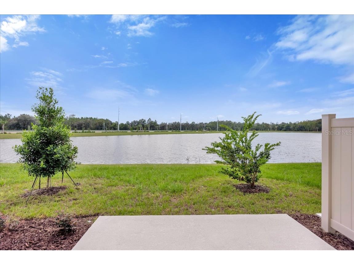 3764 Sepia Street Kissimmee FL 34758 O6313879 image23