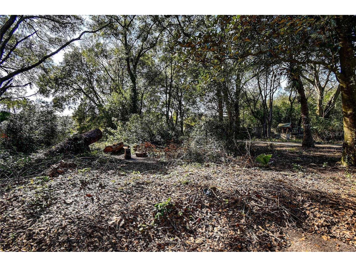 37644 Daughtery Road Zephyrhills FL 33541 TB8363632 image15