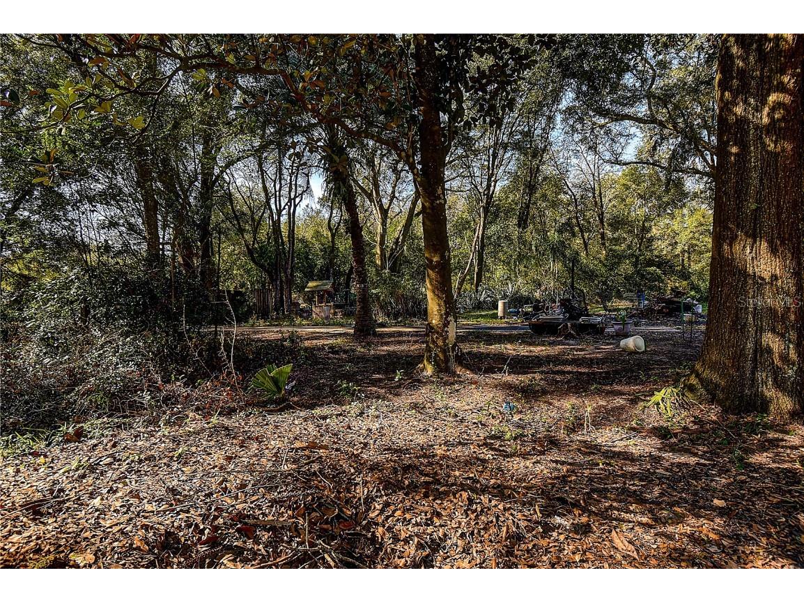 37644 Daughtery Road Zephyrhills FL 33541 TB8363632 image17