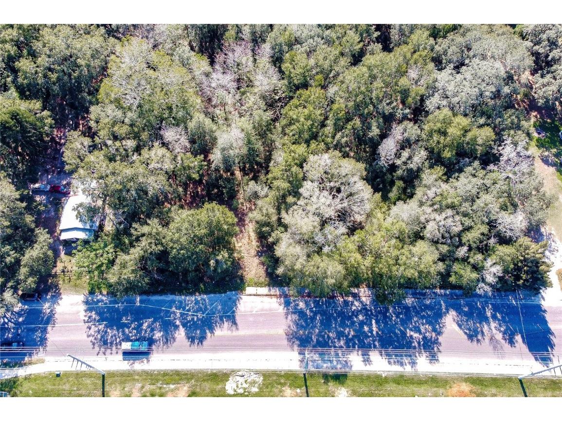 37644 Daughtery Road Zephyrhills FL 33541 TB8363632 image7