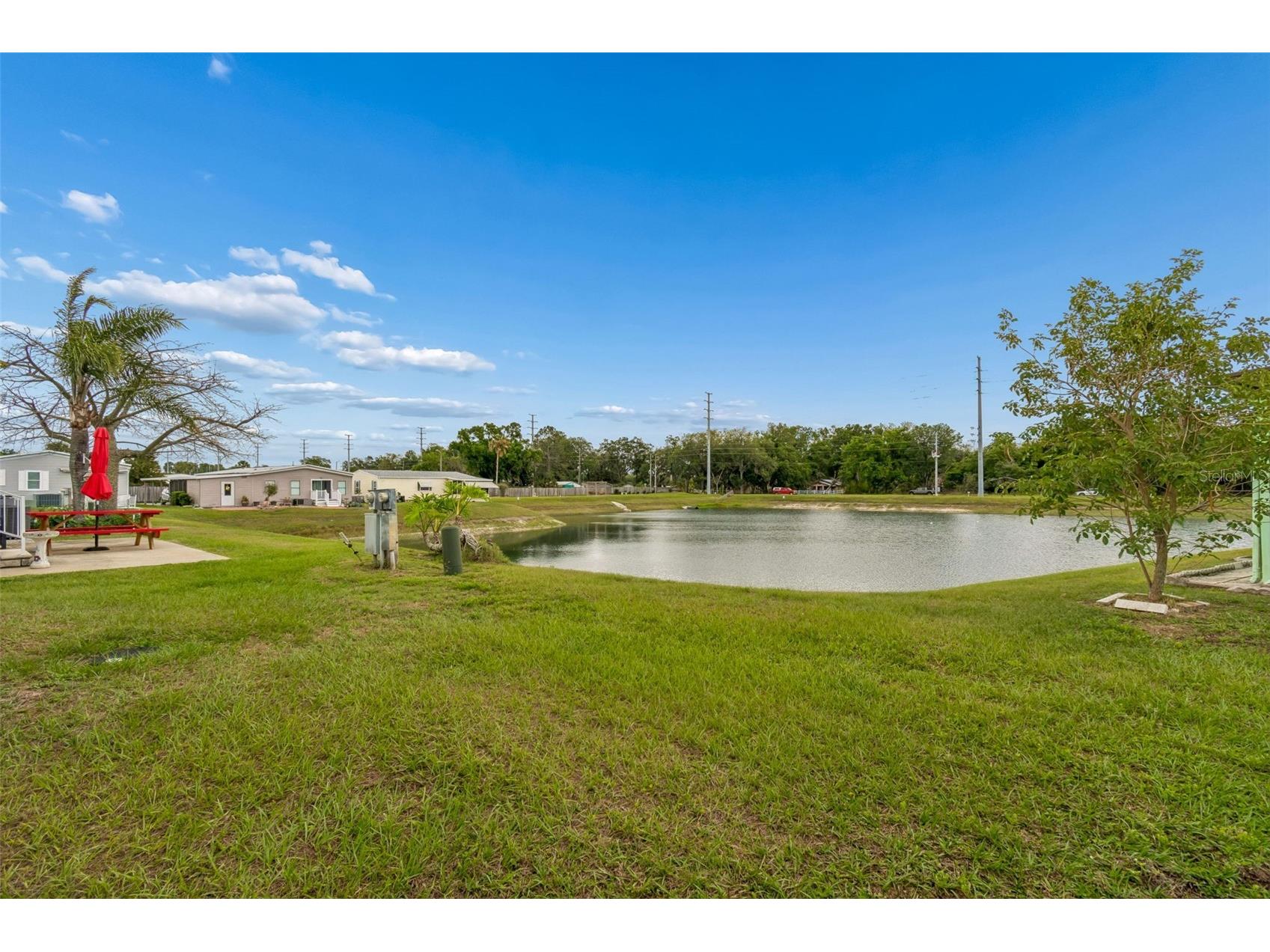 37644 Pinata Avenue Zephyrhills FL 33541 TB8498043 image8