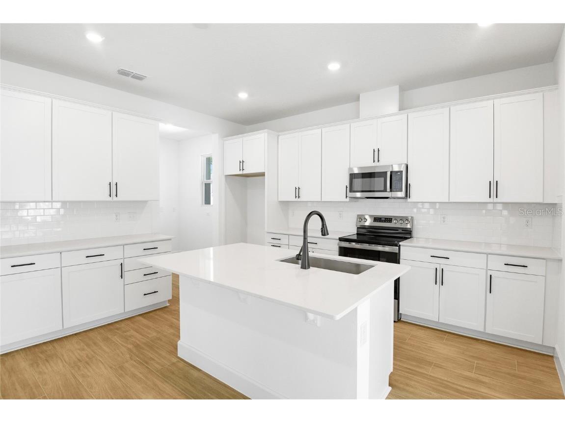 3765 Deer Ridge Drive Mount Dora FL 32757 S5125502 image3