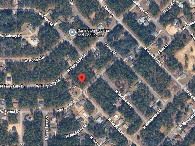 3765 W Forest Drive Citrus Springs FL 34433 S5151761 image3