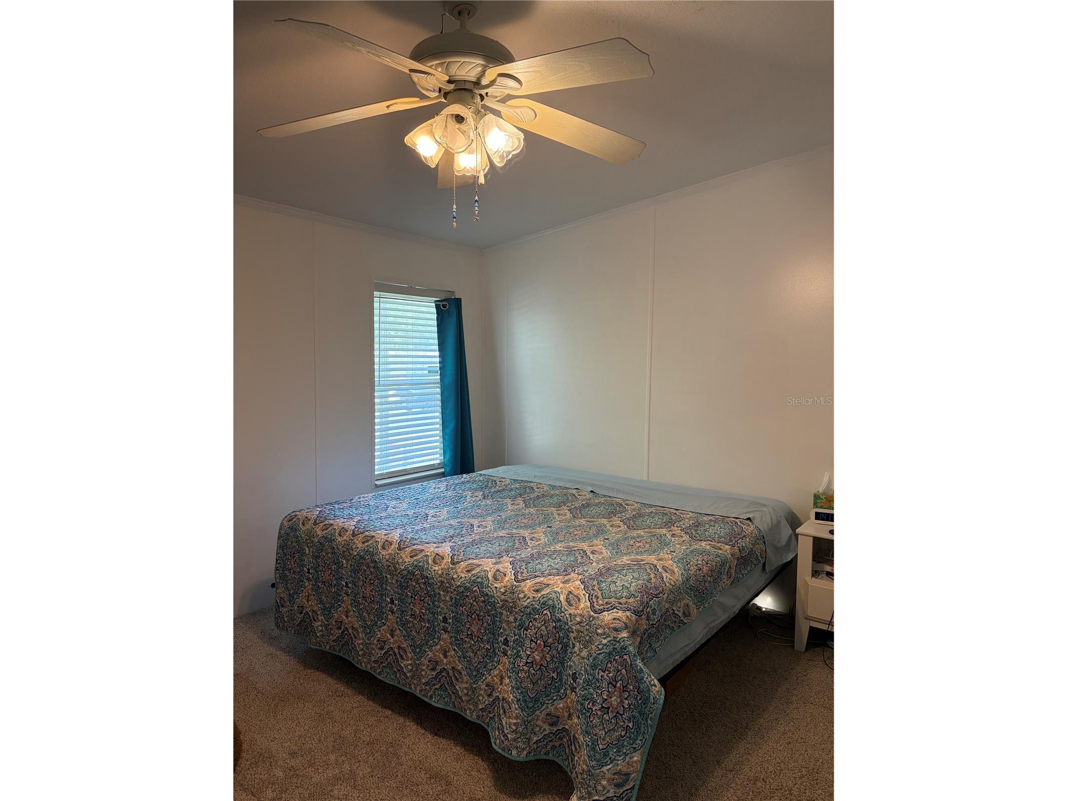 37650 Newal Avenue Zephyrhills FL 33542 TB8511770 image24