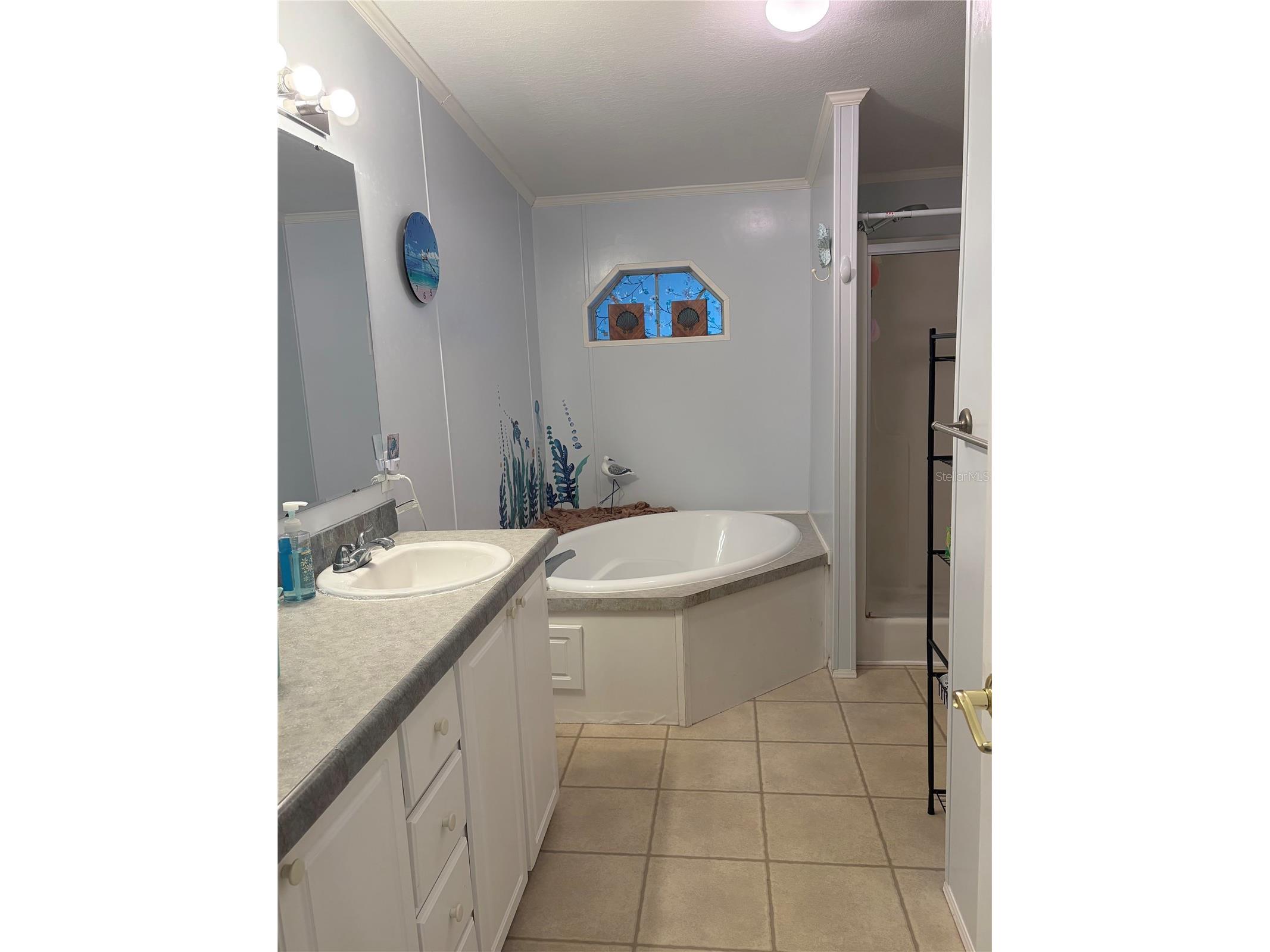 37650 Newal Avenue Zephyrhills FL 33542 TB8511770 image25
