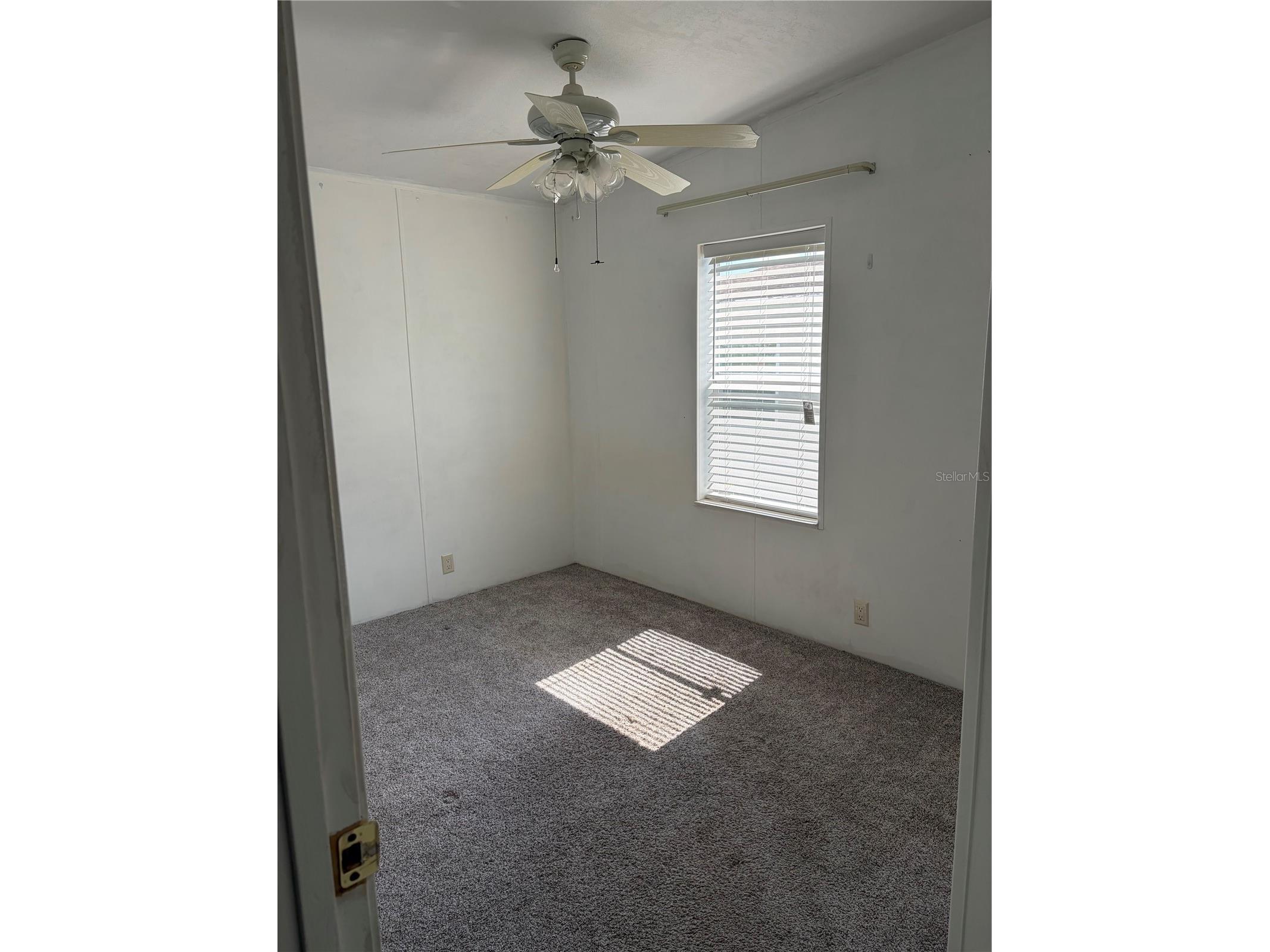 37650 Newal Avenue Zephyrhills FL 33542 TB8511770 image26