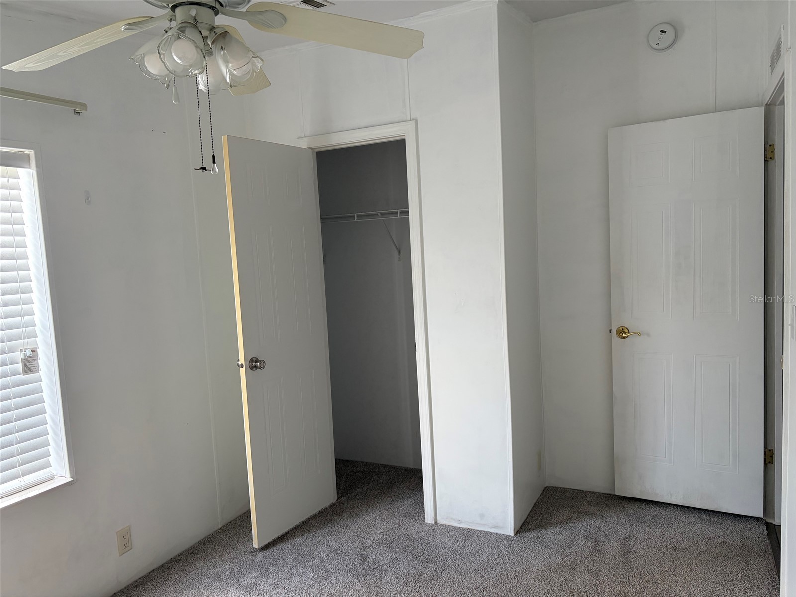 37650 Newal Avenue Zephyrhills FL 33542 TB8511770 image27