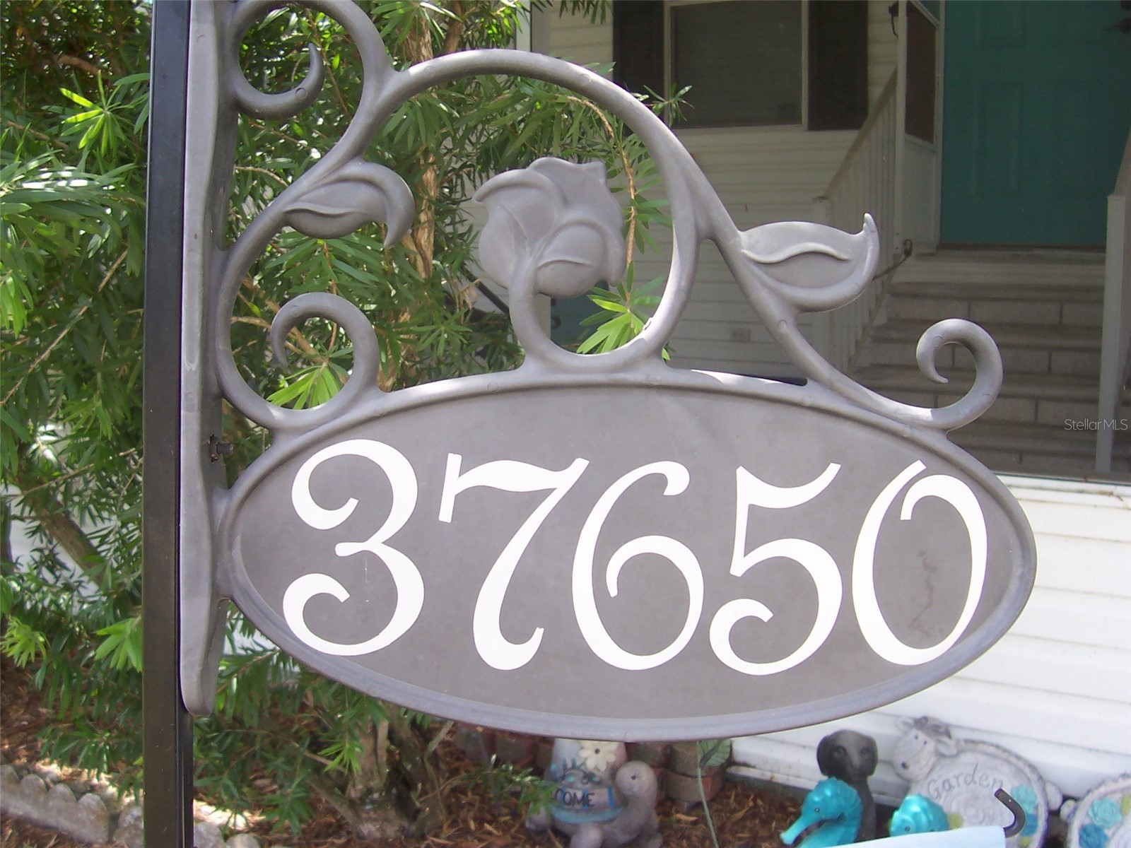 37650 Newal Avenue Zephyrhills FL 33542 TB8511770 image3