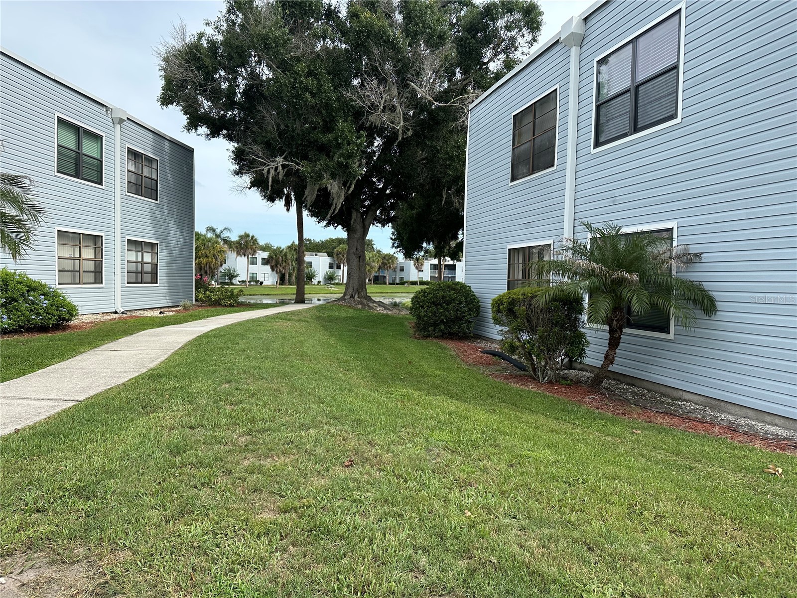 3766 Southpointe Drive #U5 Orlando FL 32822 O6415347 image54