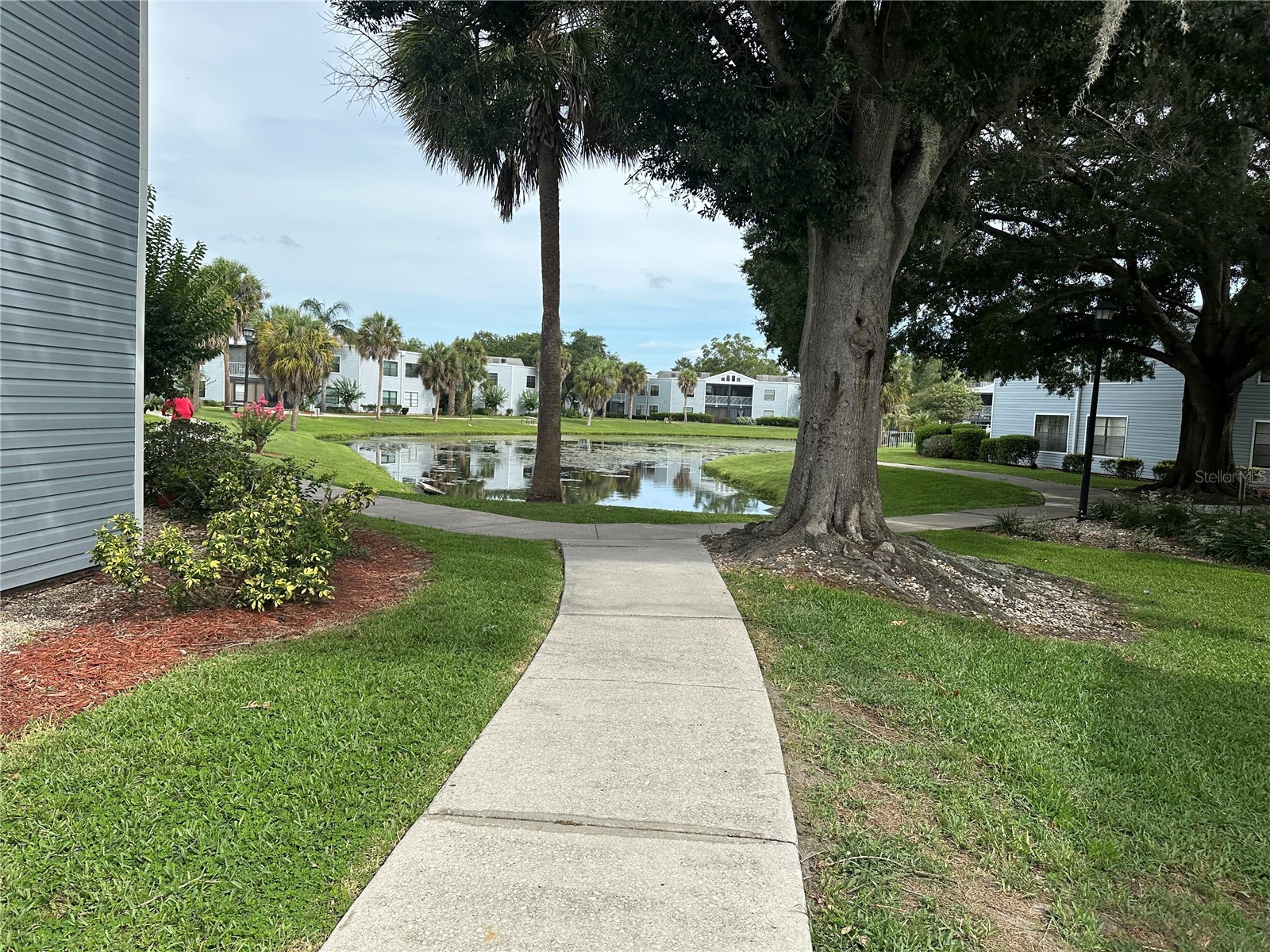 3766 Southpointe Drive #U5 Orlando FL 32822 O6415347 image55