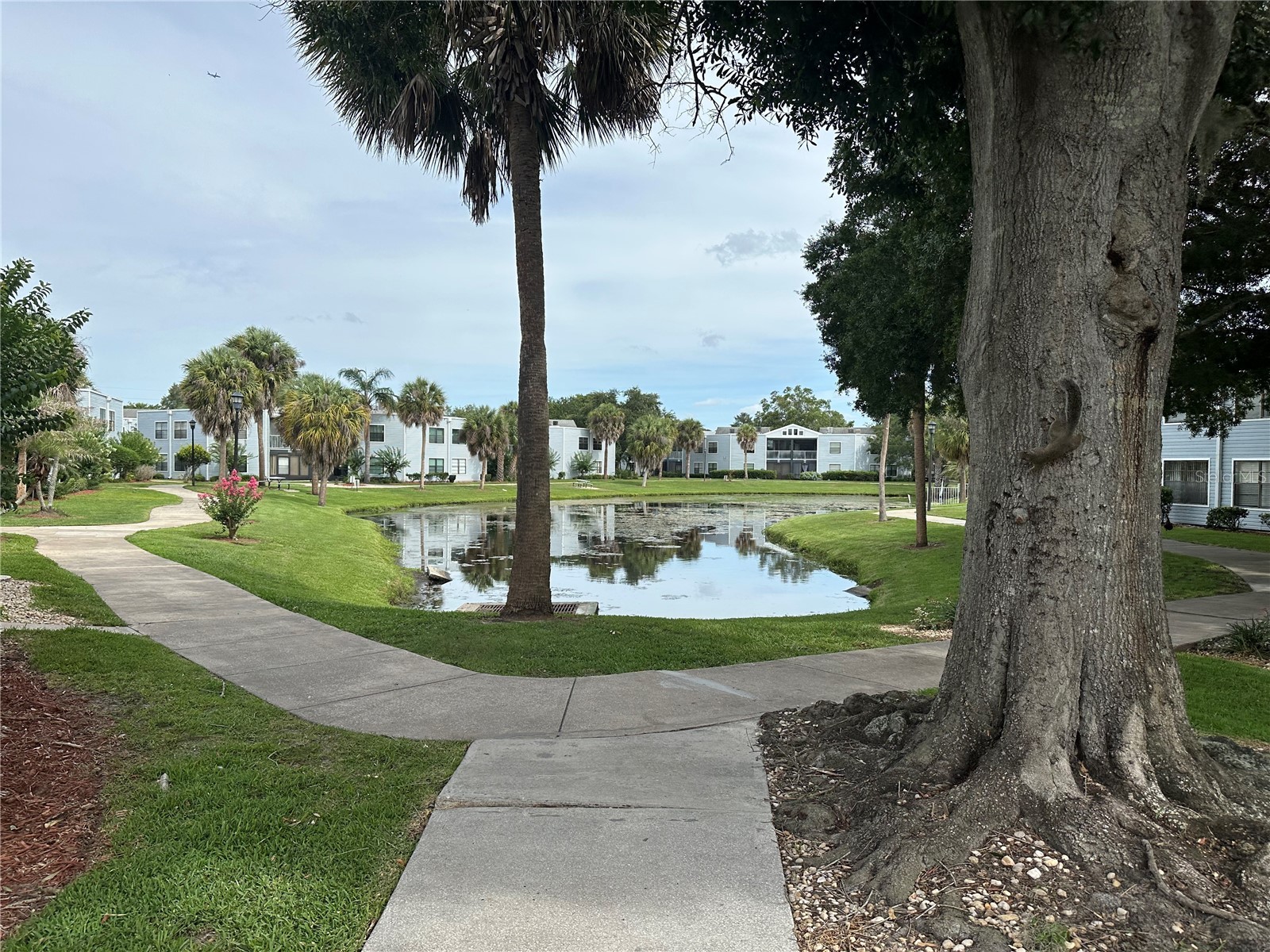 3766 Southpointe Drive #U5 Orlando FL 32822 O6415347 image57