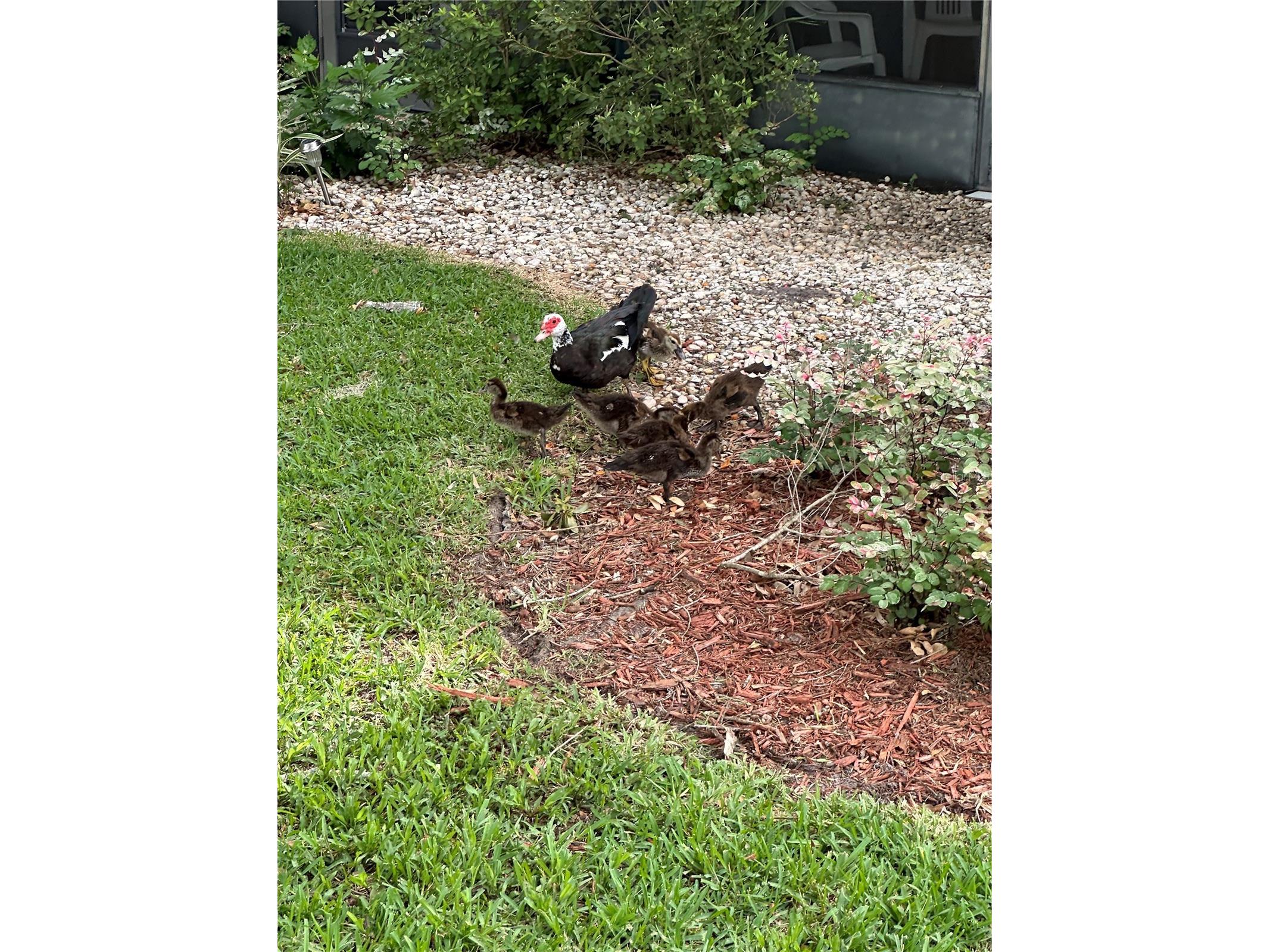3766 Southpointe Drive #U5 Orlando FL 32822 O6415347 image58