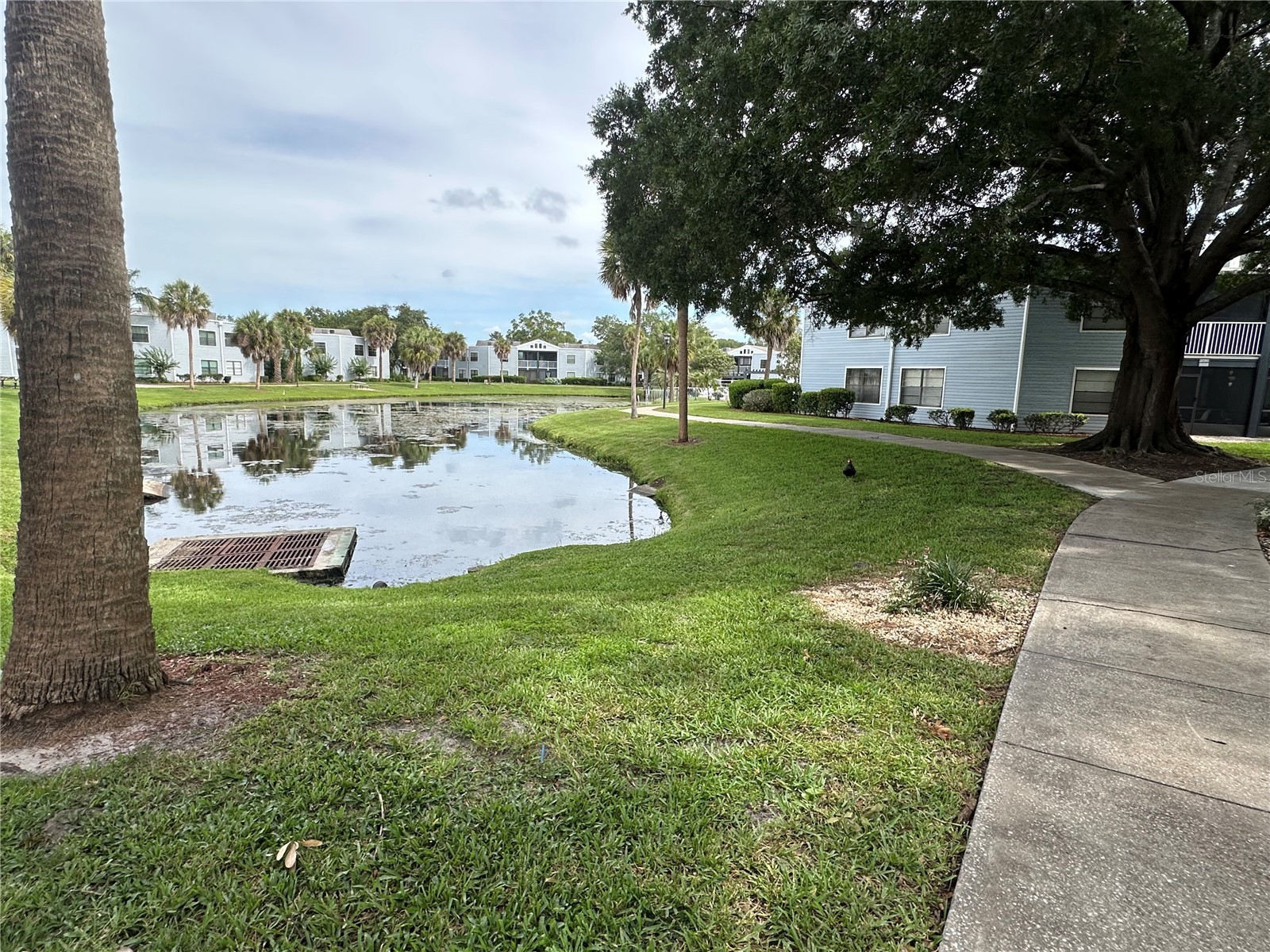 3766 Southpointe Drive #U5 Orlando FL 32822 O6415347 image60