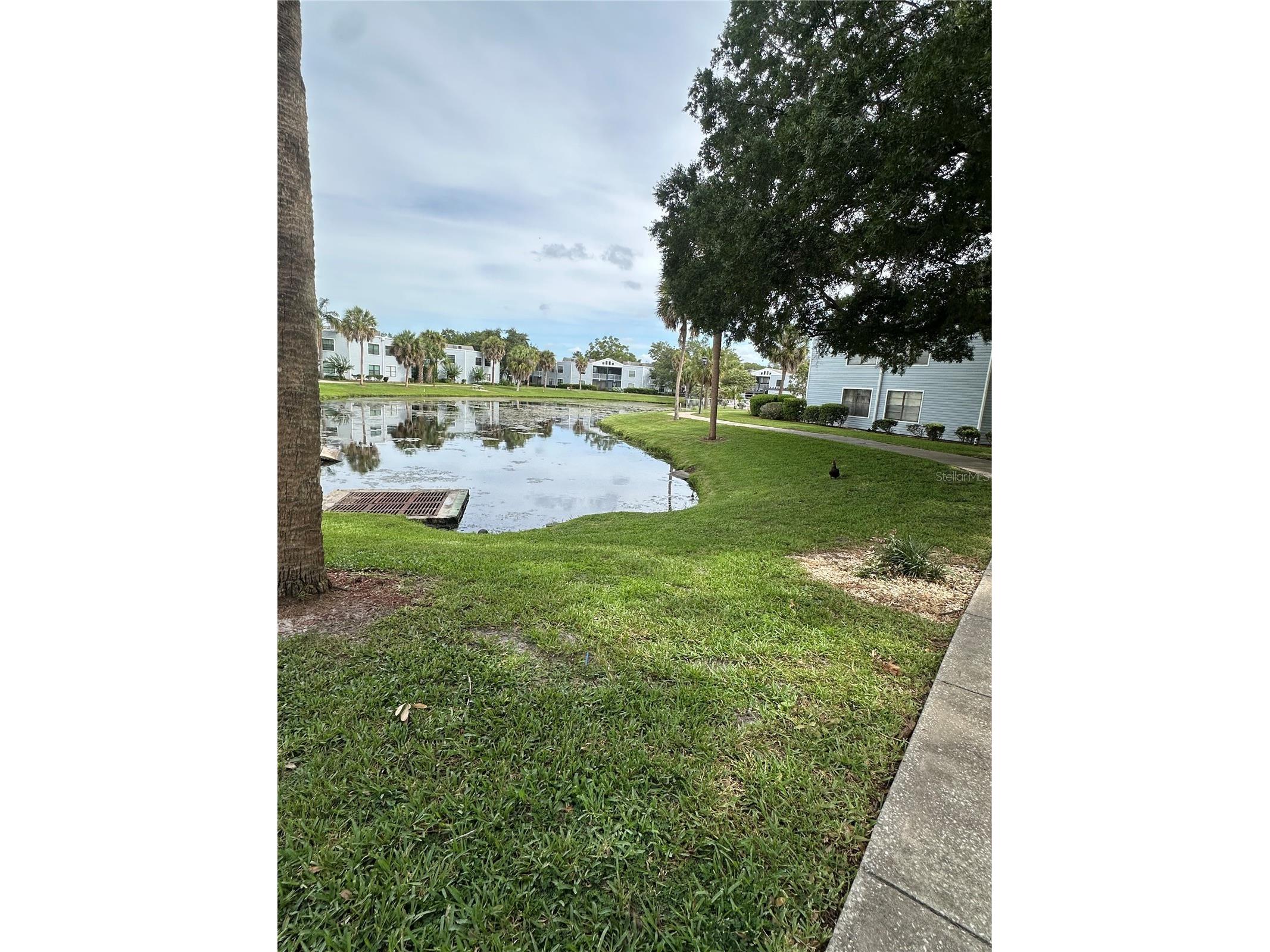 3766 Southpointe Drive #U5 Orlando FL 32822 O6415347 image61
