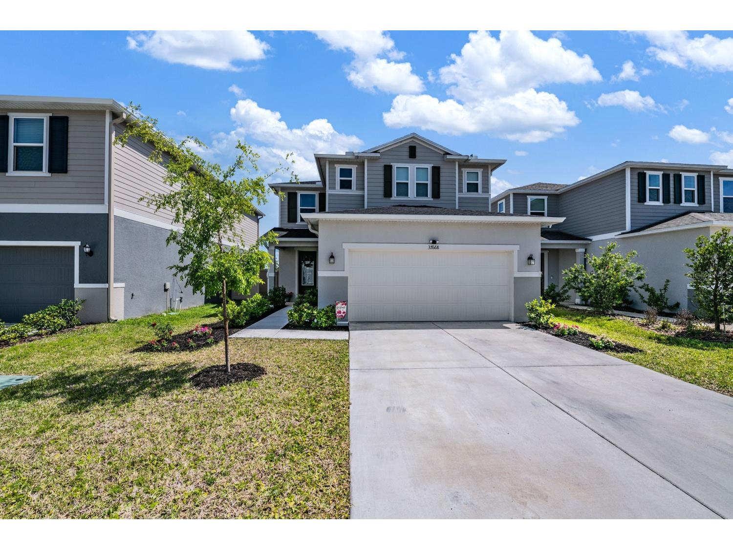 37668 Yukon Drive Zephyrhills FL 33540 TB8505134 image1