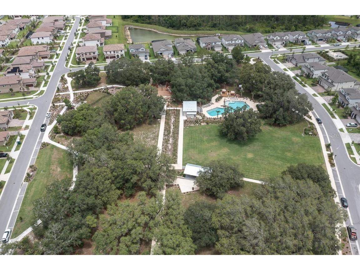 3767 Dragonfly Trail Odessa FL 33556 W7875599 image49