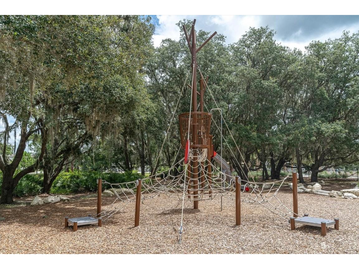 3767 Dragonfly Trail Odessa FL 33556 W7875599 image53