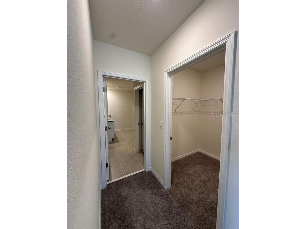 3767 Paragon Lane Clermont FL 34714 G5105341 image7