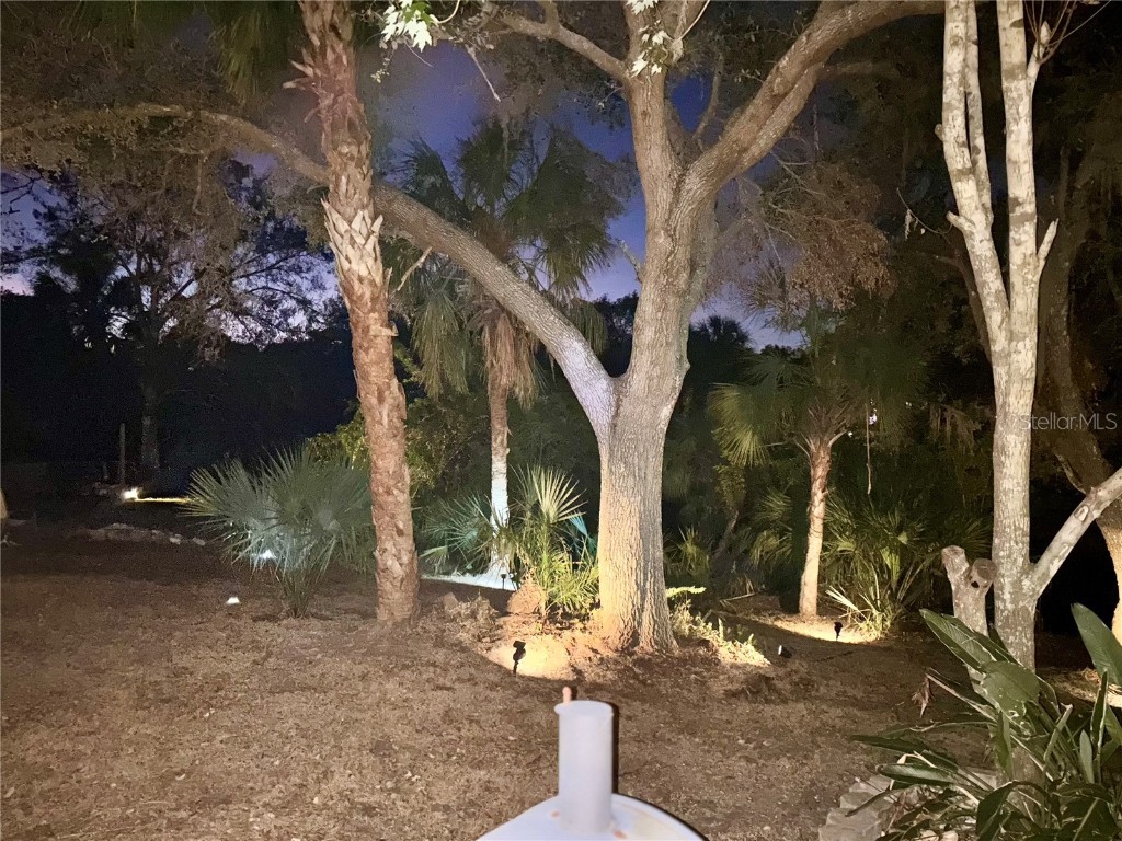 3767 Pinstar Terrace North Port FL 34287 - BLUERIDGE WATERWAY A4656807 image31