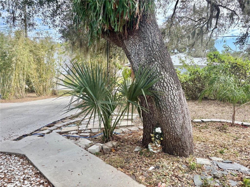 3767 Pinstar Terrace North Port FL 34287 - BLUERIDGE WATERWAY A4656807 image38