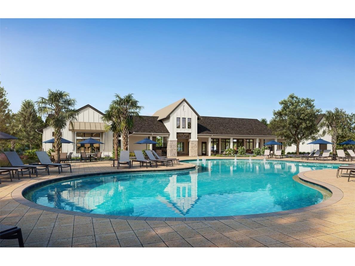 3768 Obsidian Drive Spring Hill FL 34609 TB8438073 image23