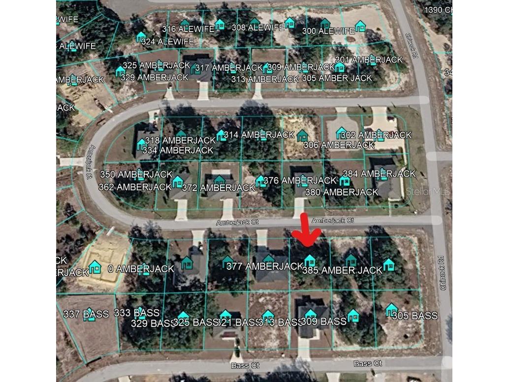 377 Amberjack Court Kissimmee FL 34759 C7527017 image1