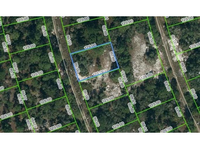 377 Concert Drive Lake Placid FL 33852 OM621051 image1