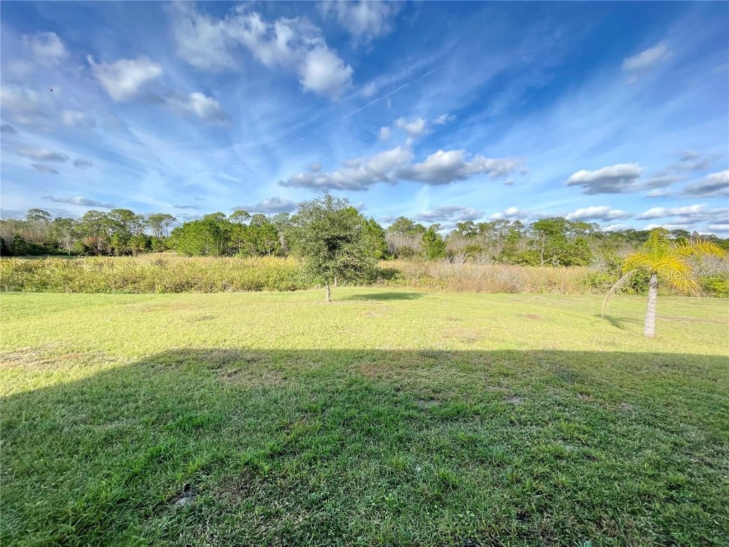 377 Sierra Mike Boulevard Lake Alfred FL 33850 O6352053 image20