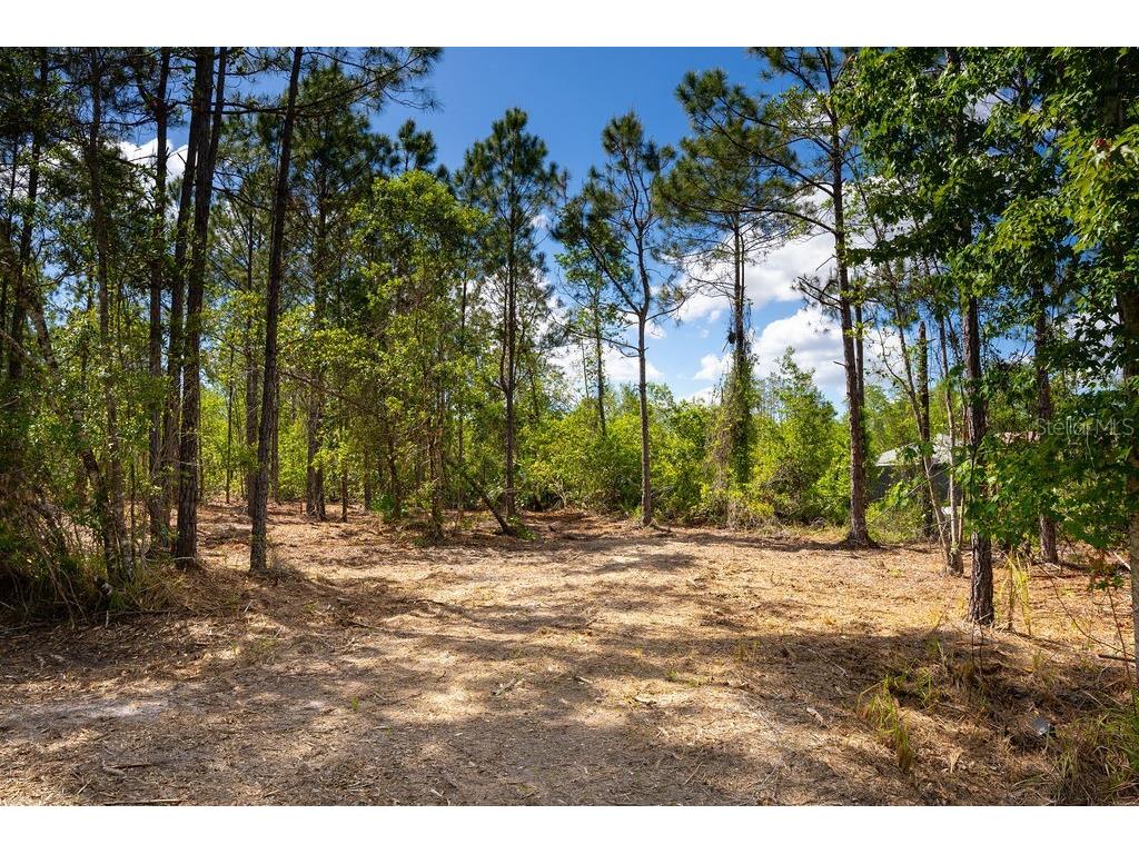 3770 Balsam Court Ormond Beach FL 32174 V4948665 image3