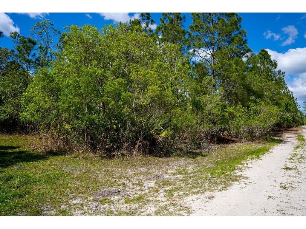 3770 Balsam Court Ormond Beach FL 32174 V4948665 image4
