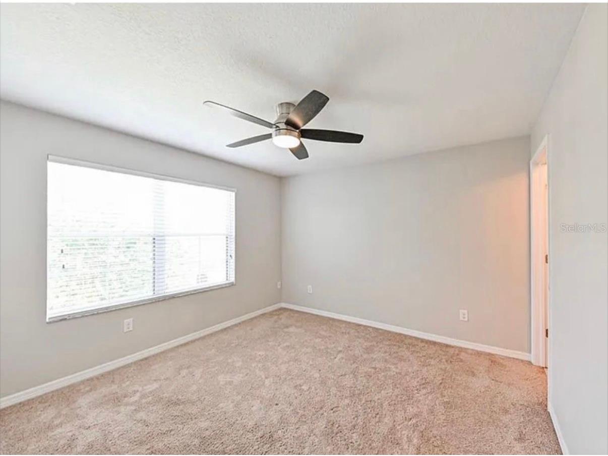 37706 Aaralyn Road Zephyrhills FL 33542 TB8459089 image15