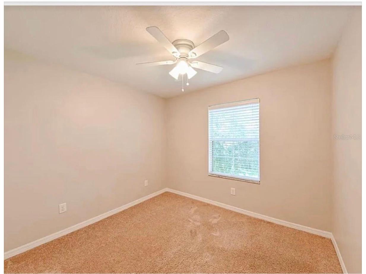 37706 Aaralyn Road Zephyrhills FL 33542 TB8459089 image17