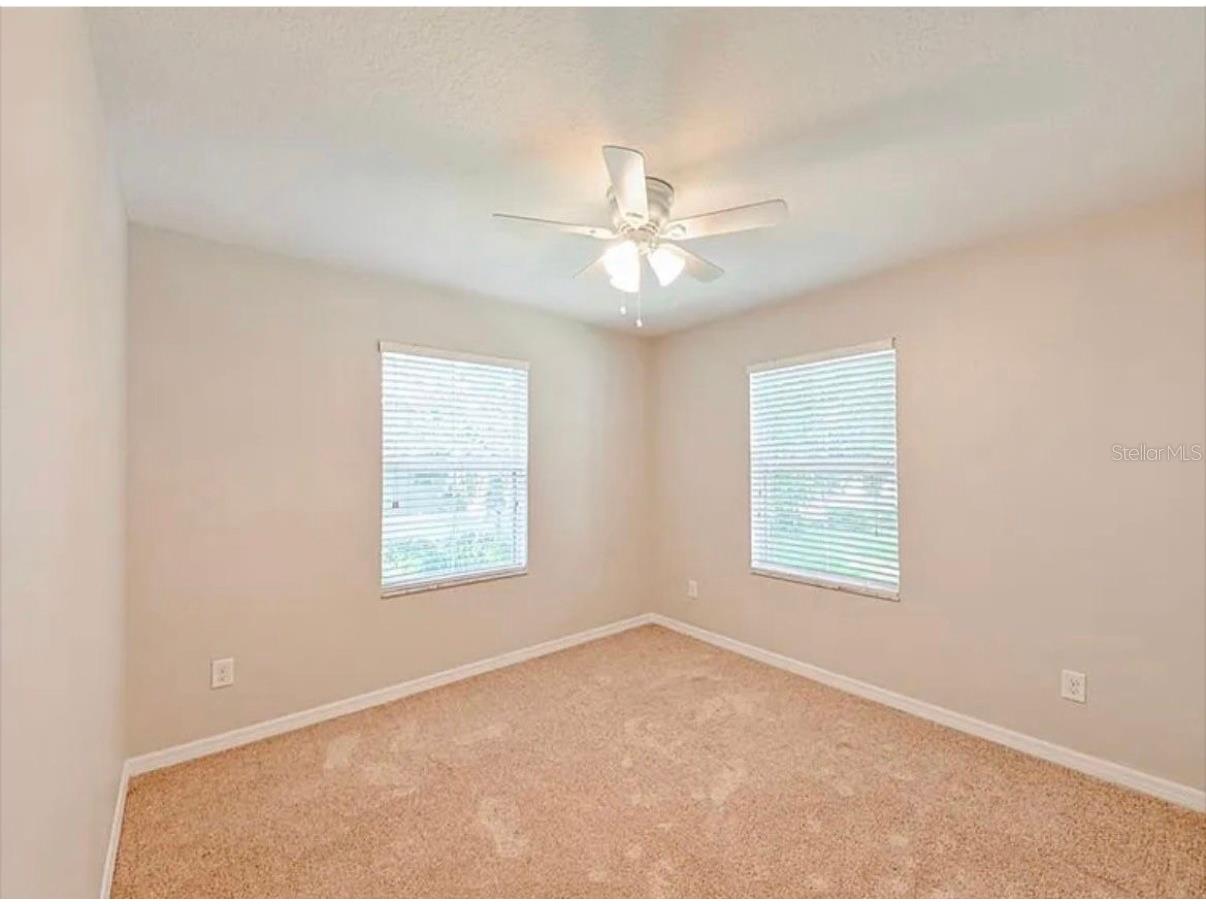 37706 Aaralyn Road Zephyrhills FL 33542 TB8459089 image18