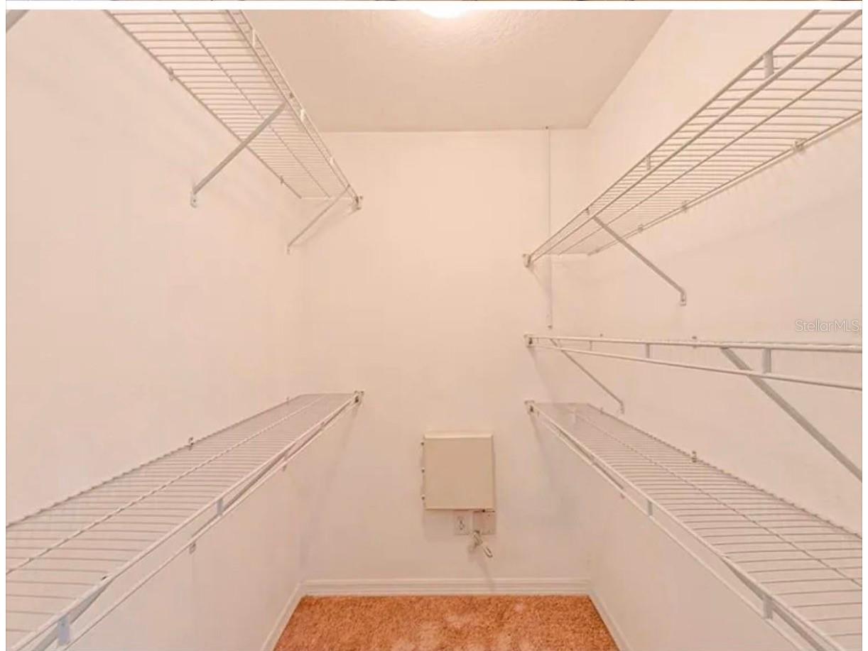 37706 Aaralyn Road Zephyrhills FL 33542 TB8459089 image20