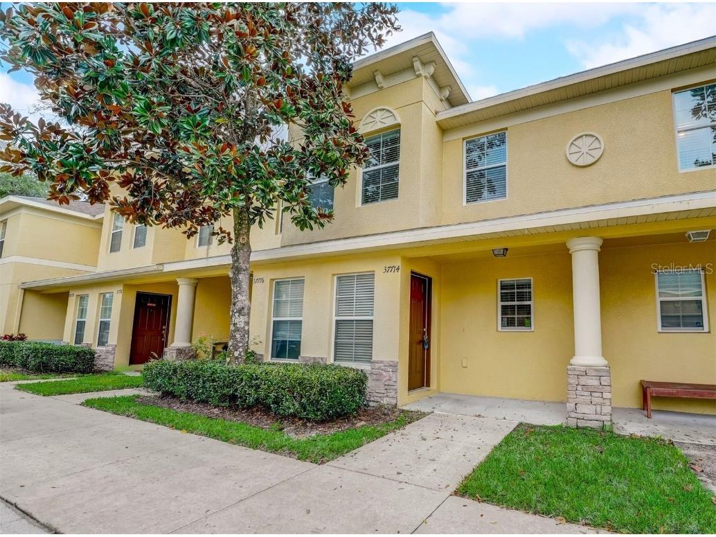 37714 Aaralyn Road Zephyrhills FL 33542 T3495927 image1