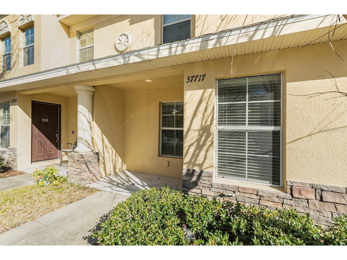 37717 Aaralyn Road Zephyrhills FL 33542 T3506963 image1